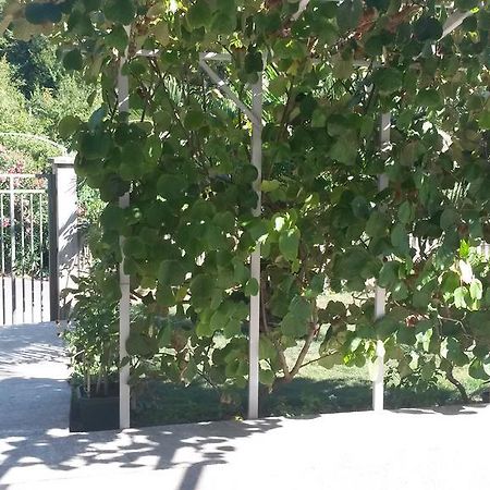 Apartment Villa Dobrijevic -Seljanovo ติวัต ภายนอก รูปภาพ
